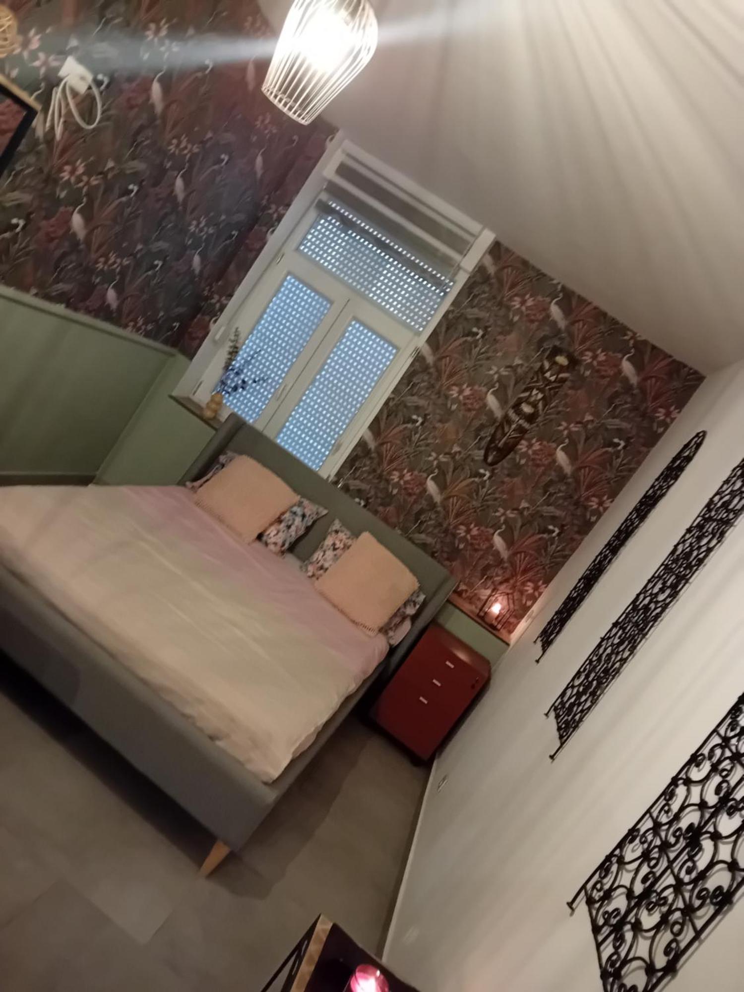 Studio Meuble 4Km Aeroport 샤를루아 외부 사진